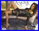 Angelina_Jolie_Legs_Autographed_Signed_8x10_Photo_Certified_Authentic_PSA_DNA_01_nzw