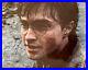 Daniel_Radcliffe_signed_Harry_Potter_8x10_photo_In_Person_Authentic_Proof_01_njr