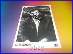 David Gilmour Pink Floyd Signed Signed Autograph Autograph in Photo in Person