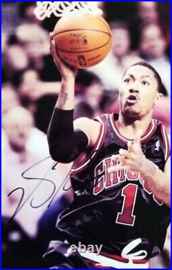 Derrick Rose autograph signed in person 8x10