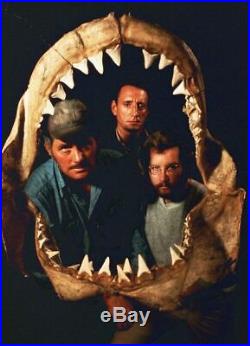 JAWS Roy Scheider in person Signed photo EXACT PROOF! UACC RD RARE