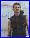 JEREMY_RENNER_Signed_11x14_AVENGERS_HAWKEYE_Photo_IN_PERSON_Autograph_JSA_COA_01_bs