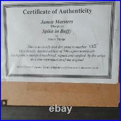 James Marsters Spike Auto Authentic hand signed in person