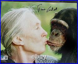 Jane Goodall Hand Signed In Person Autograph 10x8 Rare Beckett Bas Coa