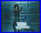 Kate_Beckinsale_Autograph_Underworld_Signed_In_Person_8x10_UACC_Certified_01_sq