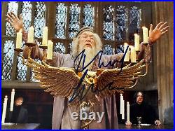 Michael Gambon Signed Radcliffe' Harry Potter 8x10 photo in Person