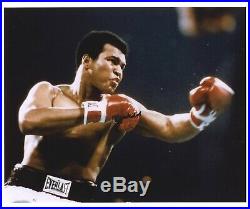 Muhammad Ali American Heavyweight Boxing Legend In Person Signed Photograph