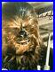 Peter_Mayhew_HAND_SIGNED_10x8_Star_Wars_Chewbacca_Photograph_In_Person_COA_01_cg