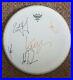 Stereo_Phonics_hand_signed_in_person_15_Remo_drum_skin_by_all_5_members_01_ypvy