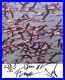 The_Deftones_Band_Fully_Signed_8_x_10_Photo_Genuine_In_Person_Hologram_COA_01_axz