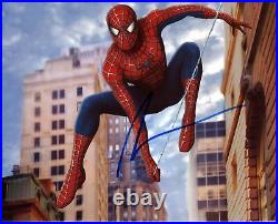 Tobey Maguire ACTOR SPIDER-MAN autograph, In-Person signed photo