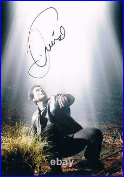 Tom Cruise 1962- genuine autograph 8x12 photo signed IN PERSON