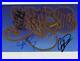 Yes_Band_Chris_Squire_Steve_Howe_3_FULLY_Signed_Photo_Genuine_In_Person_01_zkgf
